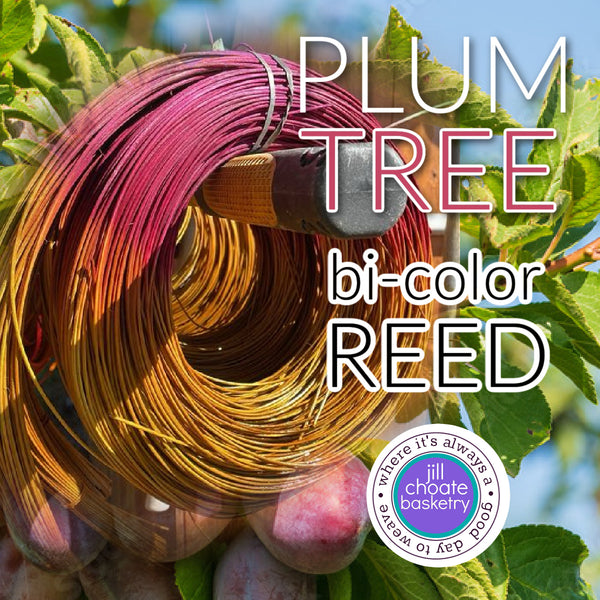 PLUM TREE BI-COLOR dyed reed