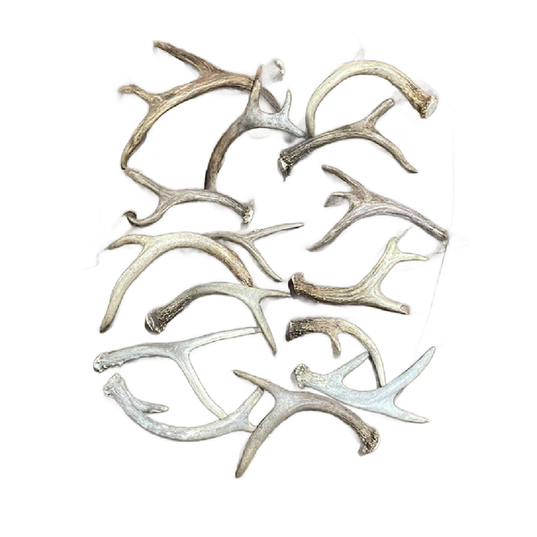 END of the LINE liquidation SALE - ANTLER SALE